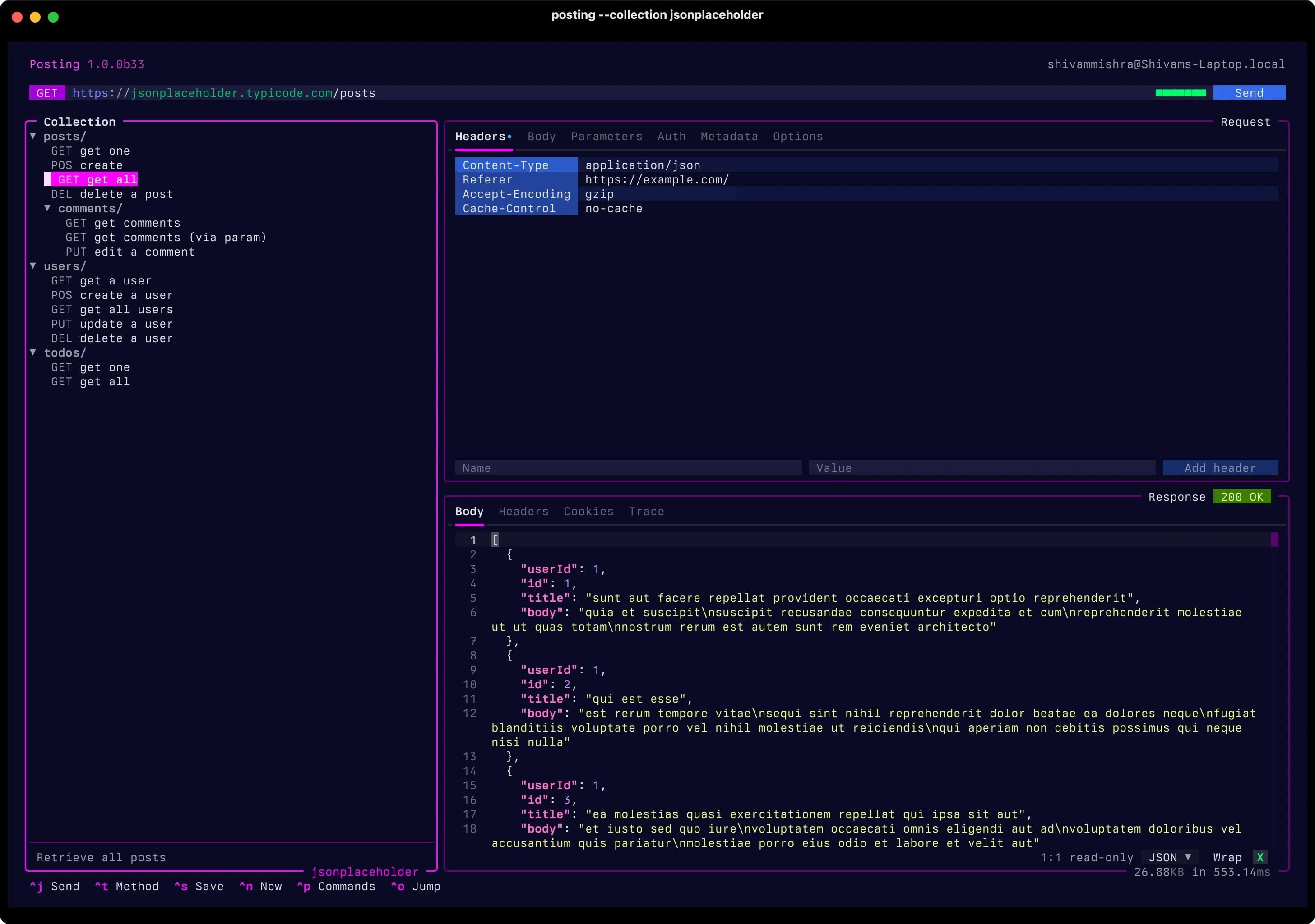 Screenshot of terminal app called posting